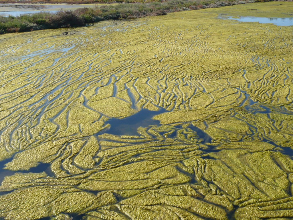 Werner Rückemann, Foto, 2017, Ile de Ré