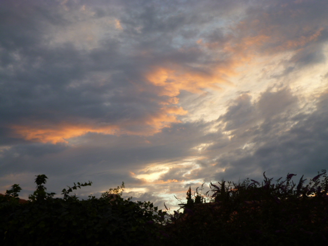 Werner Rückemann, Foto, 2014, Ile de Ré