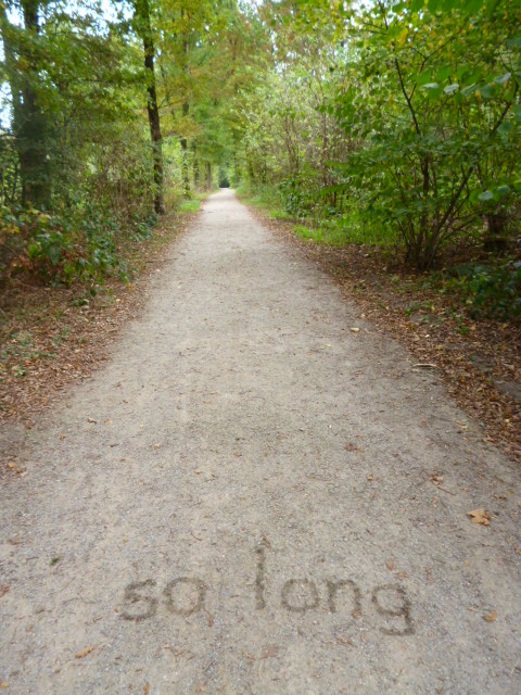 Werner Rückemann, Foto, 2017, Kunstverein Steinfurt