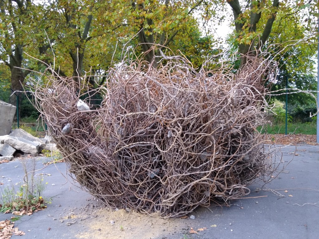 Werner Rückemann, Foto, Draht, 2020, Atelier